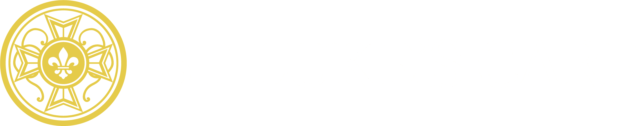 St Luke's Care Logo